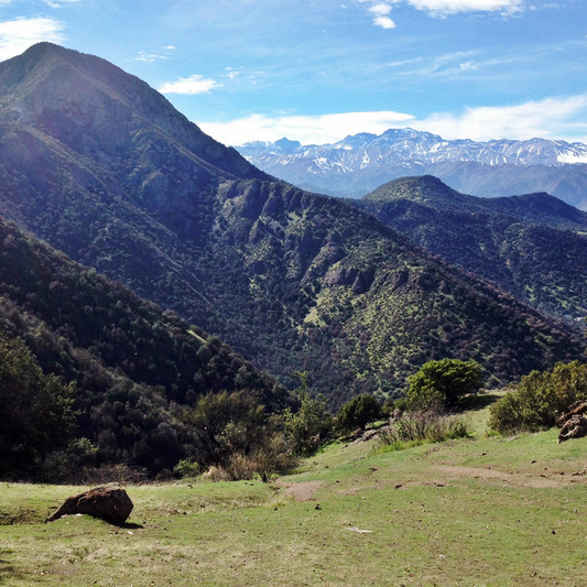 Cerro El Carbón